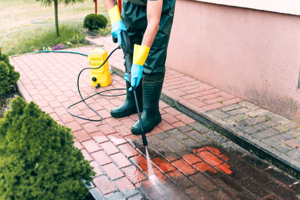 Best Playground Equipment Cleaning  in Johnsonville, SC